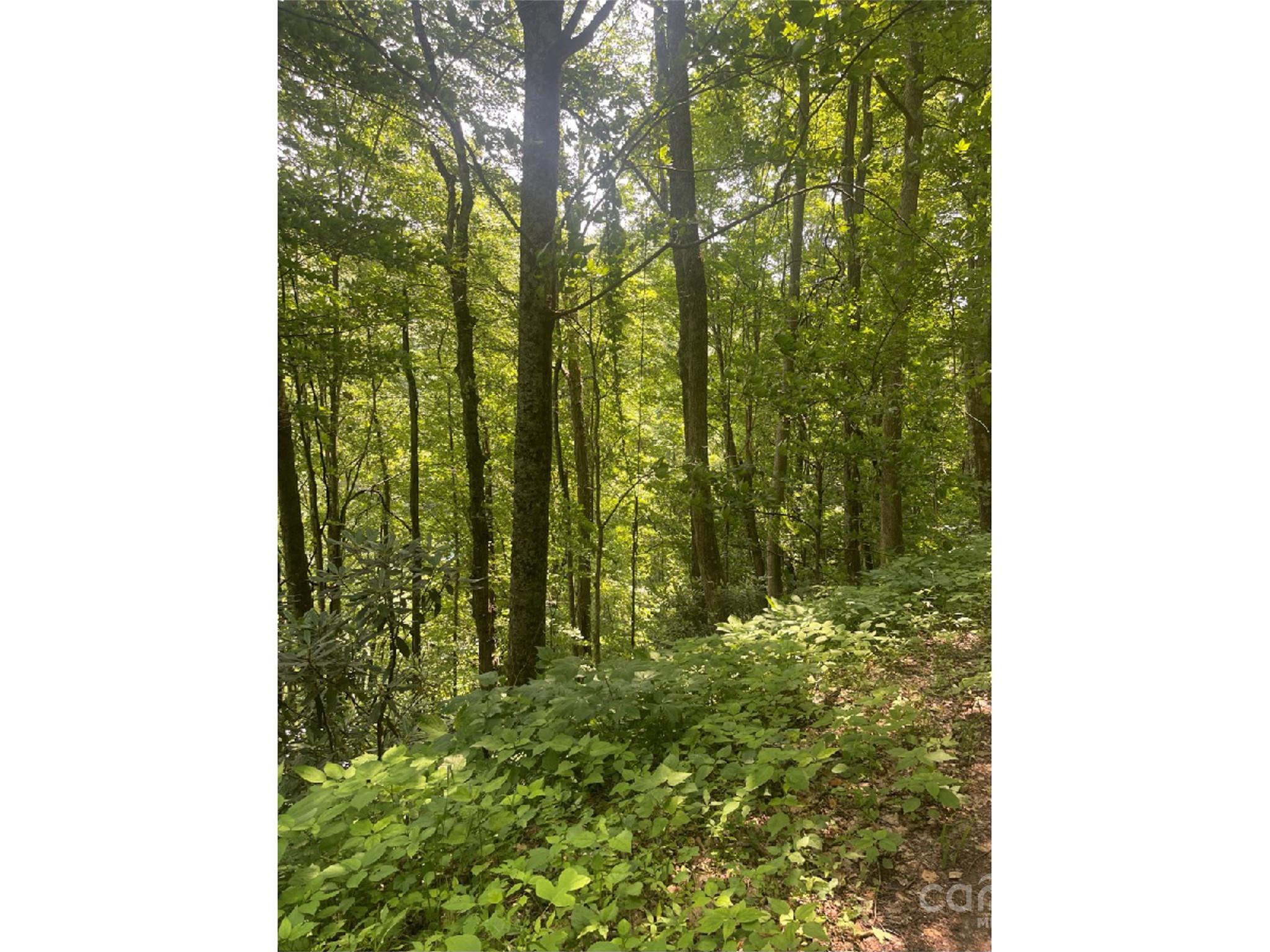 Undisclosed Address Apex, NC 27523 - Photo 6 of 7