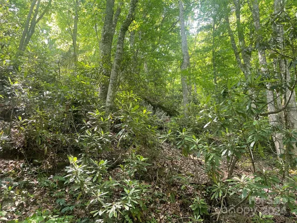 $19,000 | Undisclosed Address, Apex, NC 27523