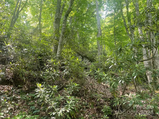 $19,000 | Undisclosed Address, Apex, NC 27523