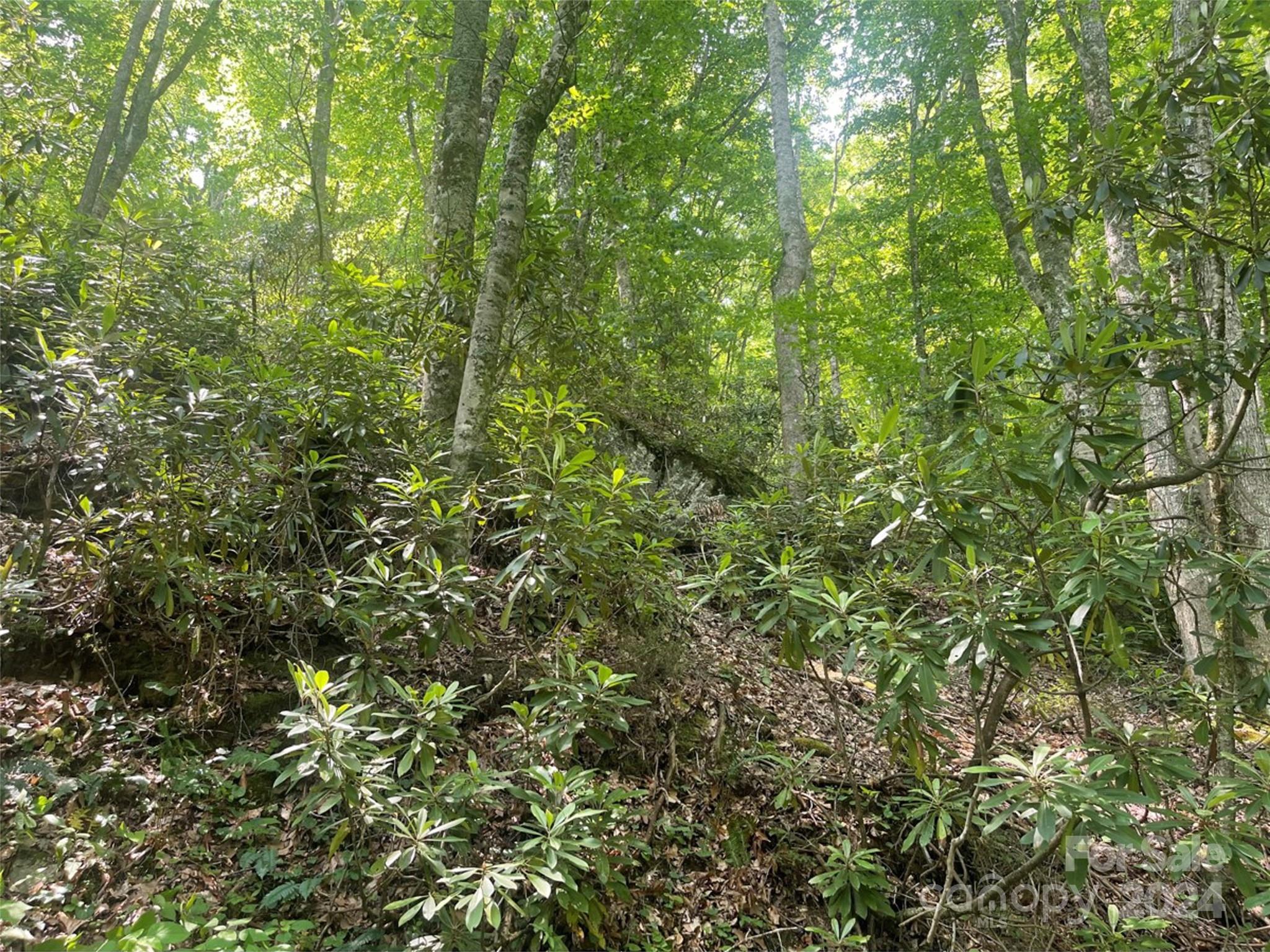 Undisclosed Address Apex, NC 27523 - Photo 7 of 7