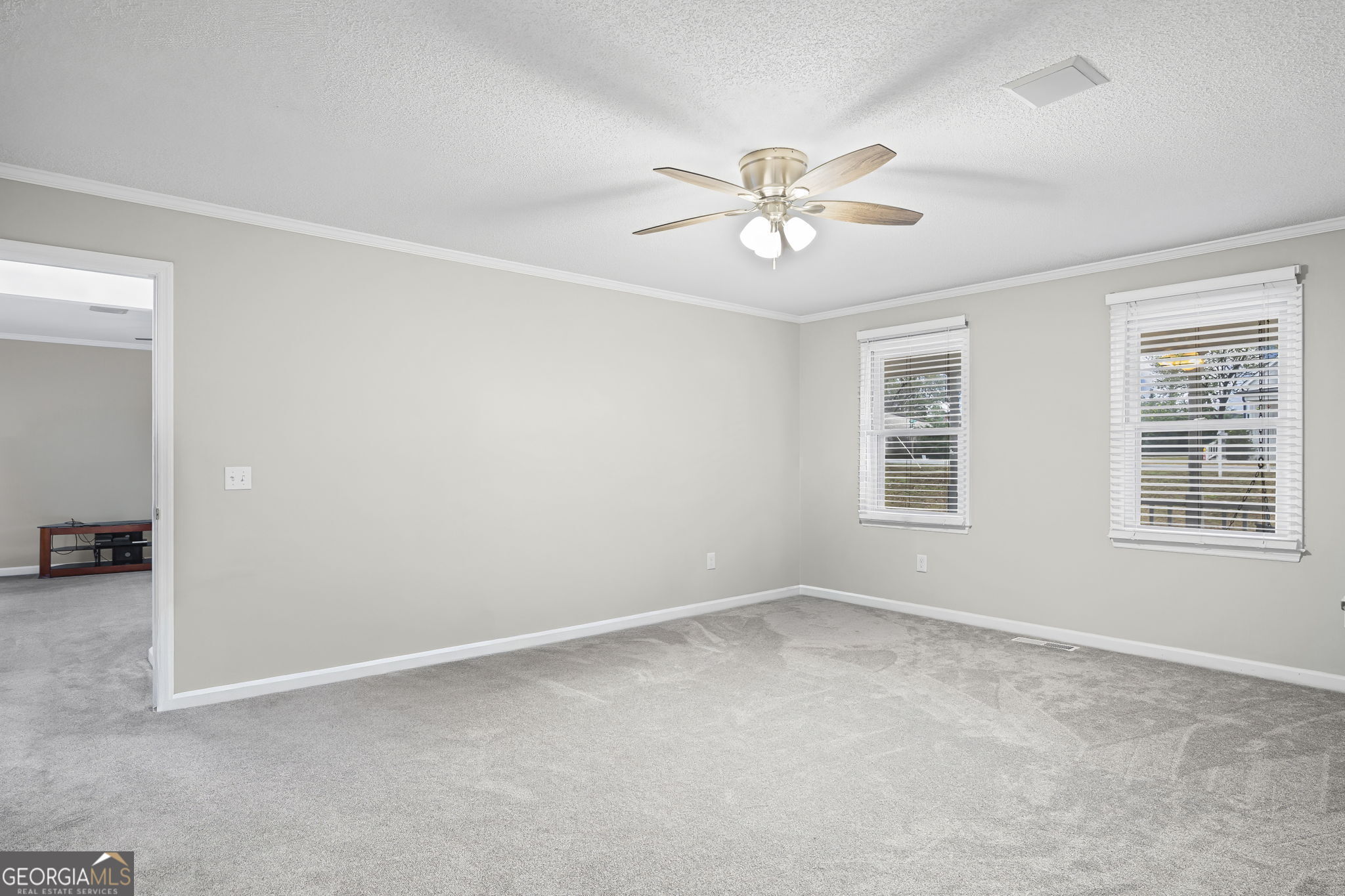 8 Cameron Street Moreland, GA 30259 - Photo 18 of 46