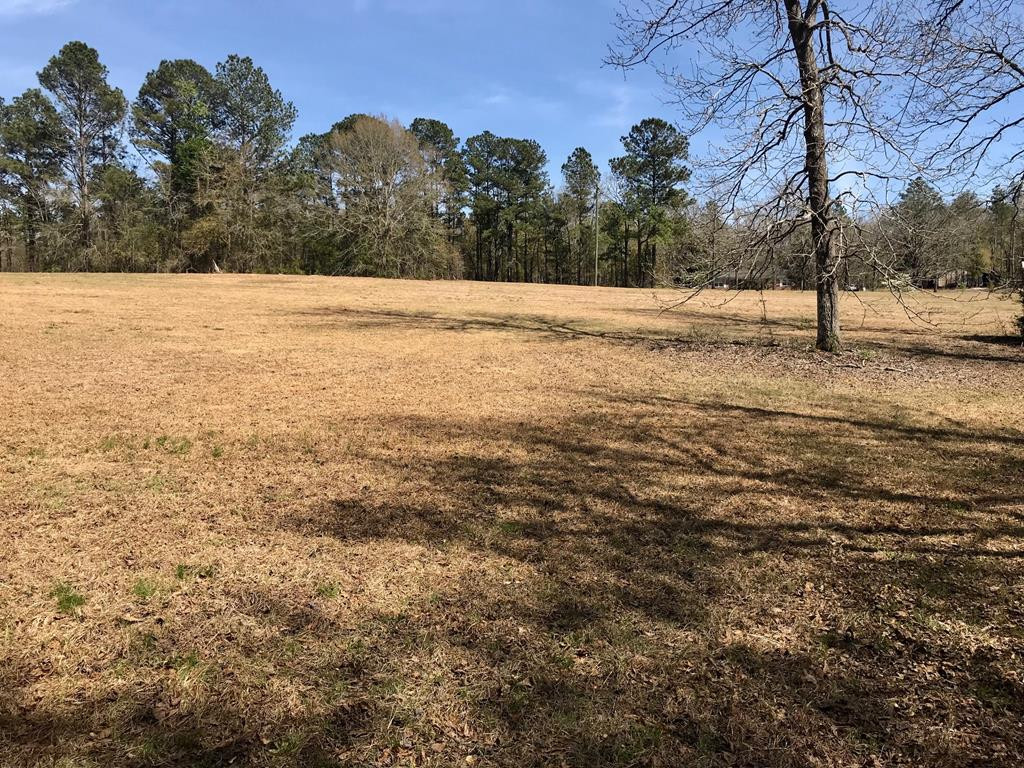 Lot 1 Holiness Church Road Wagener, SC 29164 - Photo 13 of 22