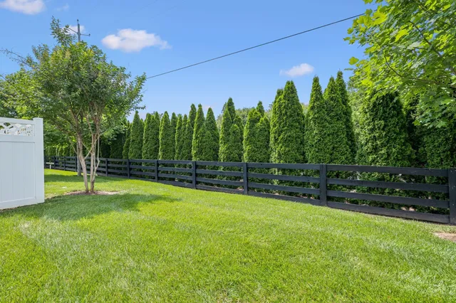 a view of a backyard with trees