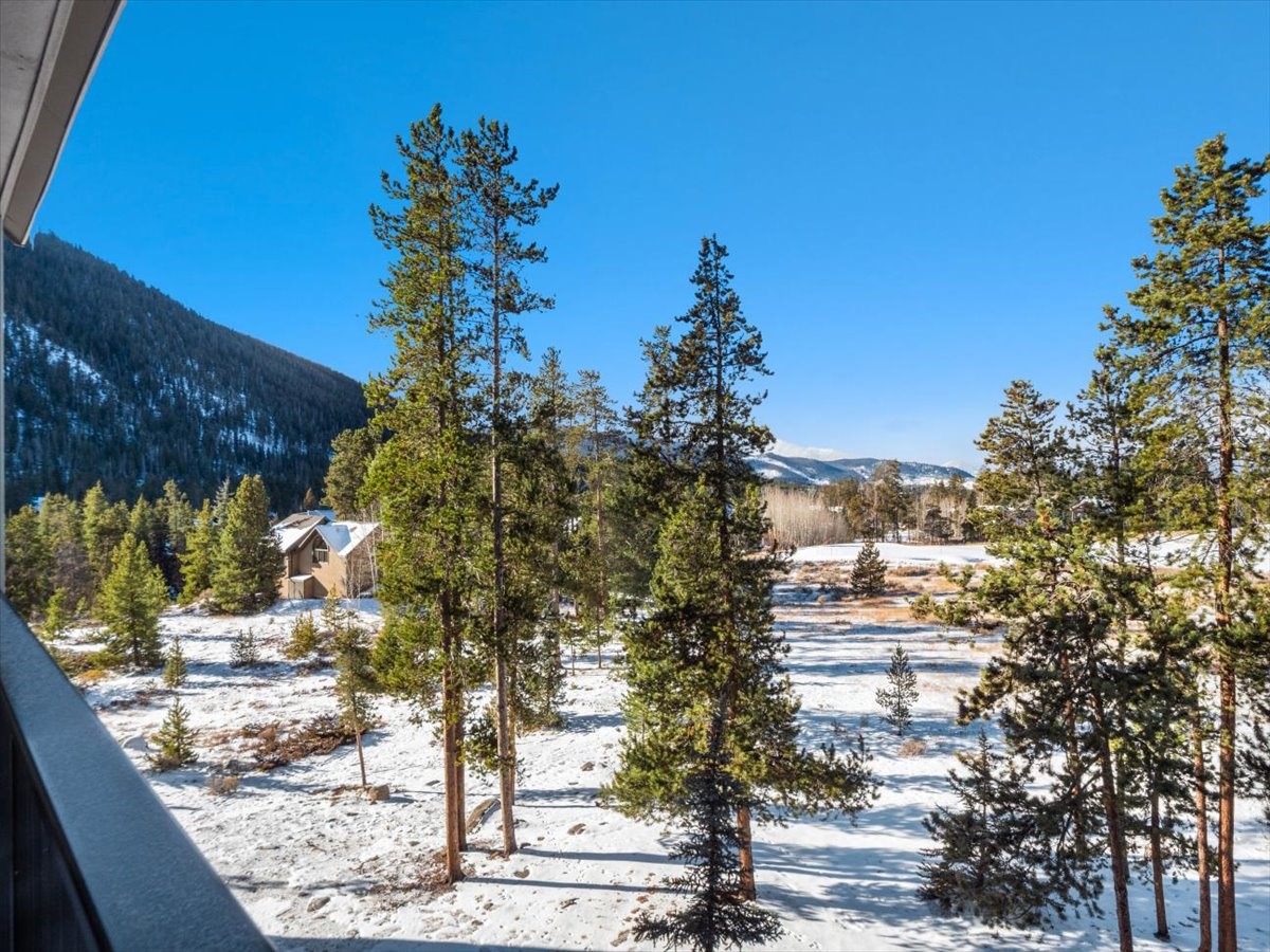 21640 Highway 6, Unit 2121 Keystone, CO 80435 - Photo 22 of 40 View from private deck