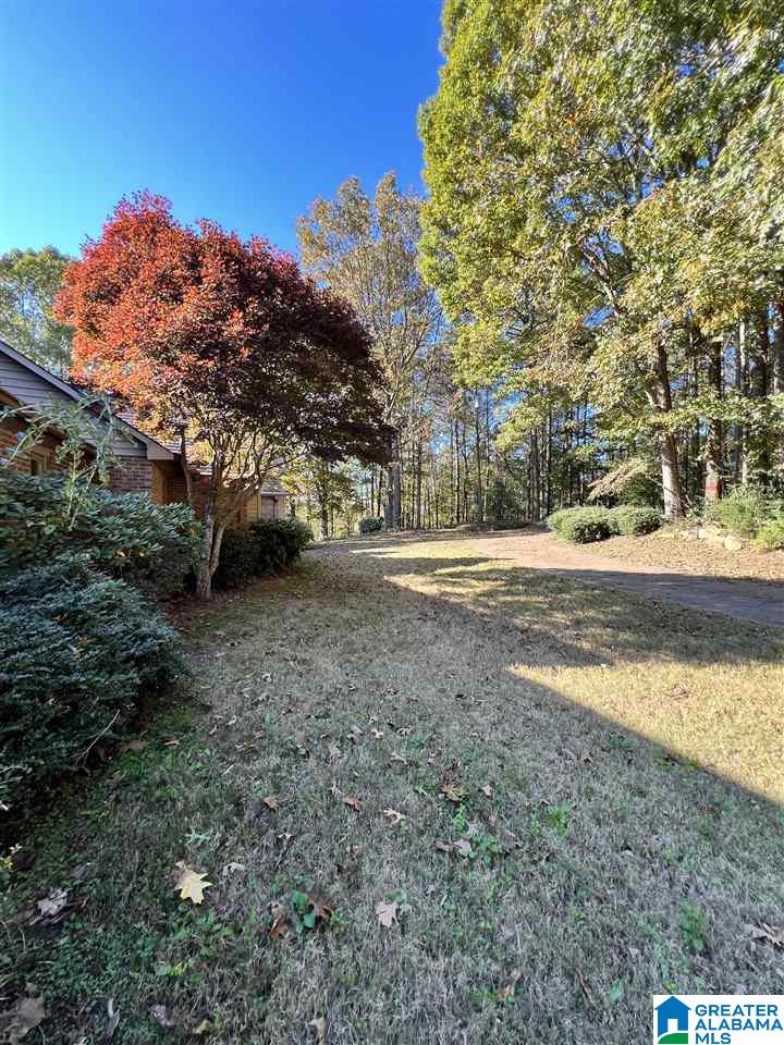 1843 County Road 129 Wedowee, AL 36278 - Photo 44 of 48