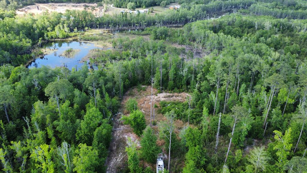 147 Faison Road Wewahitchka, FL 32465 - Photo 1 of 12