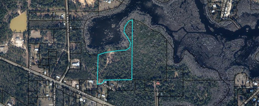 147 Faison Road Wewahitchka, FL 32465 - Photo 3 of 12