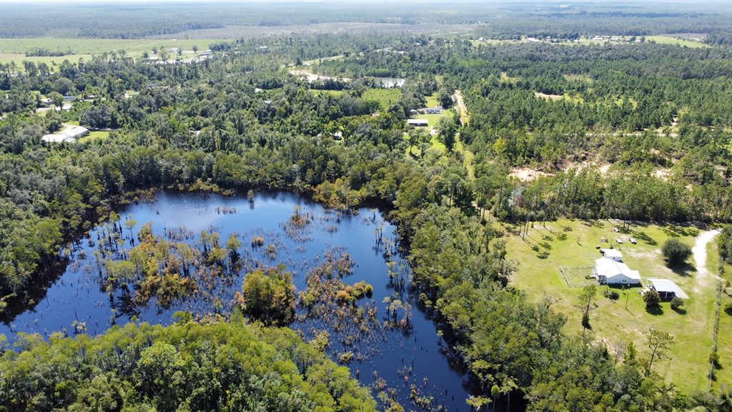 147 Faison Road Wewahitchka, FL 32465 - Photo 10 of 12