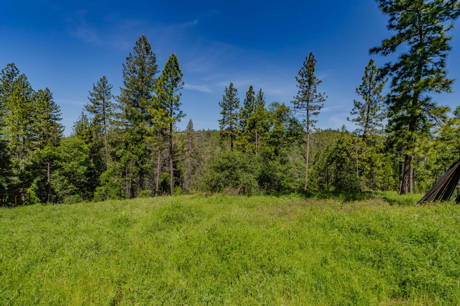 4040 Cedar Creek Road Fiddletown, CA 95629 - Photo 35 of 72 Flat usable land at top of property