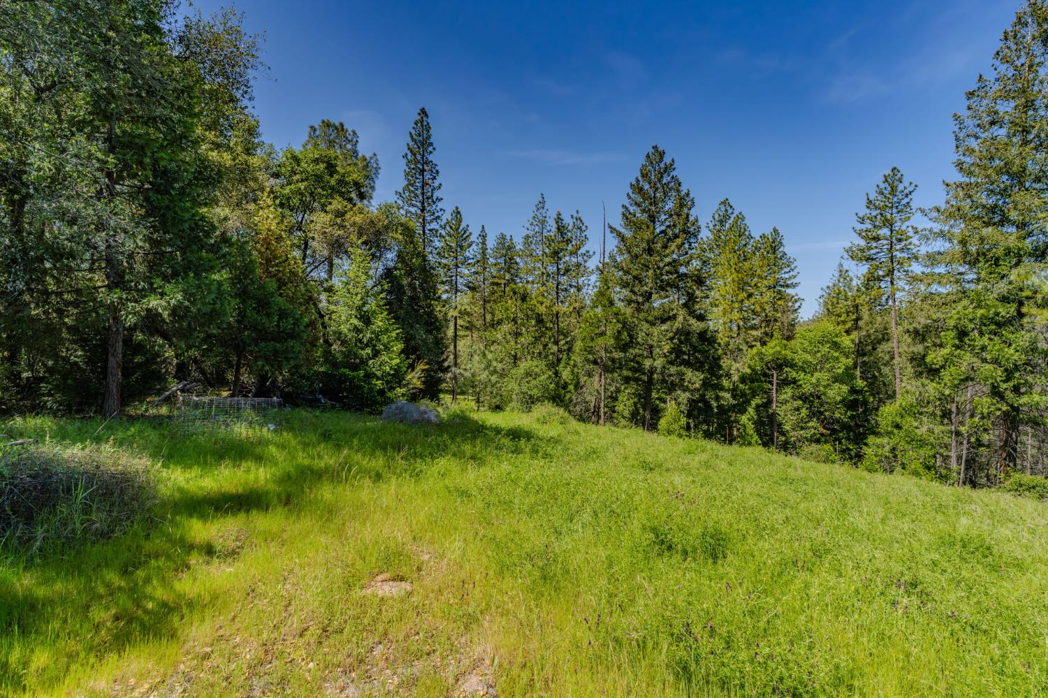 4040 Cedar Creek Road Fiddletown, CA 95629 - Photo 36 of 72