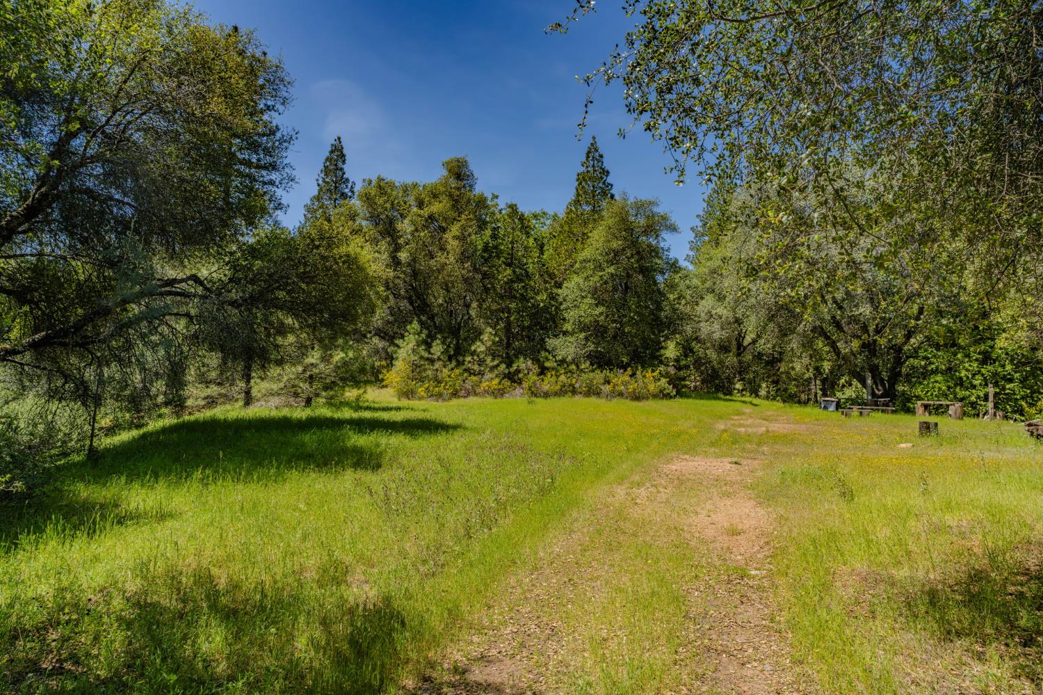 4040 Cedar Creek Road Fiddletown, CA 95629 - Photo 40 of 72