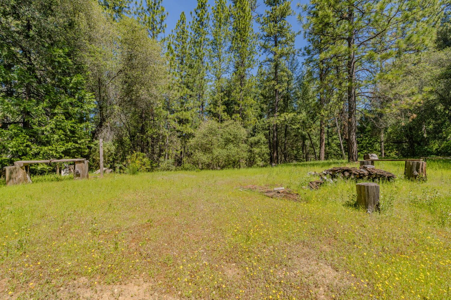 4040 Cedar Creek Road Fiddletown, CA 95629 - Photo 41 of 72