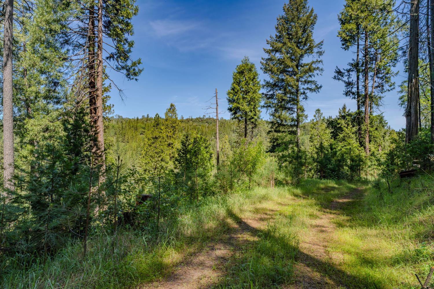 4040 Cedar Creek Road Fiddletown, CA 95629 - Photo 43 of 72