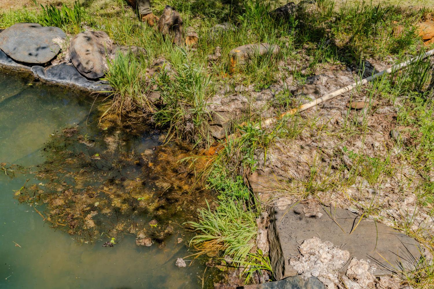 4040 Cedar Creek Road Fiddletown, CA 95629 - Photo 49 of 72