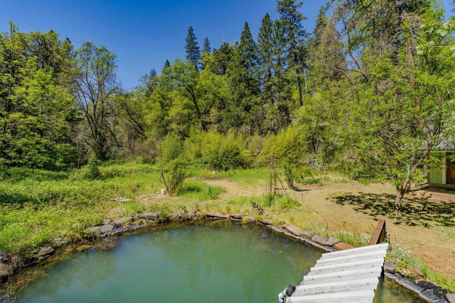 4040 Cedar Creek Road Fiddletown, CA 95629 - Photo 50 of 72
