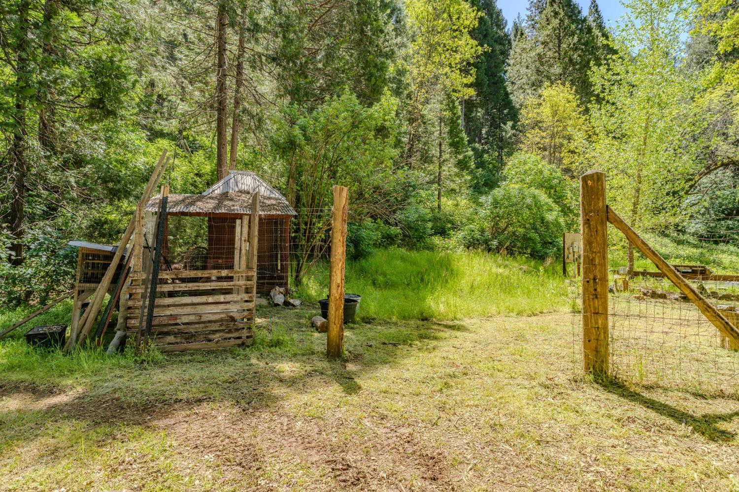 4040 Cedar Creek Road Fiddletown, CA 95629 - Photo 58 of 72