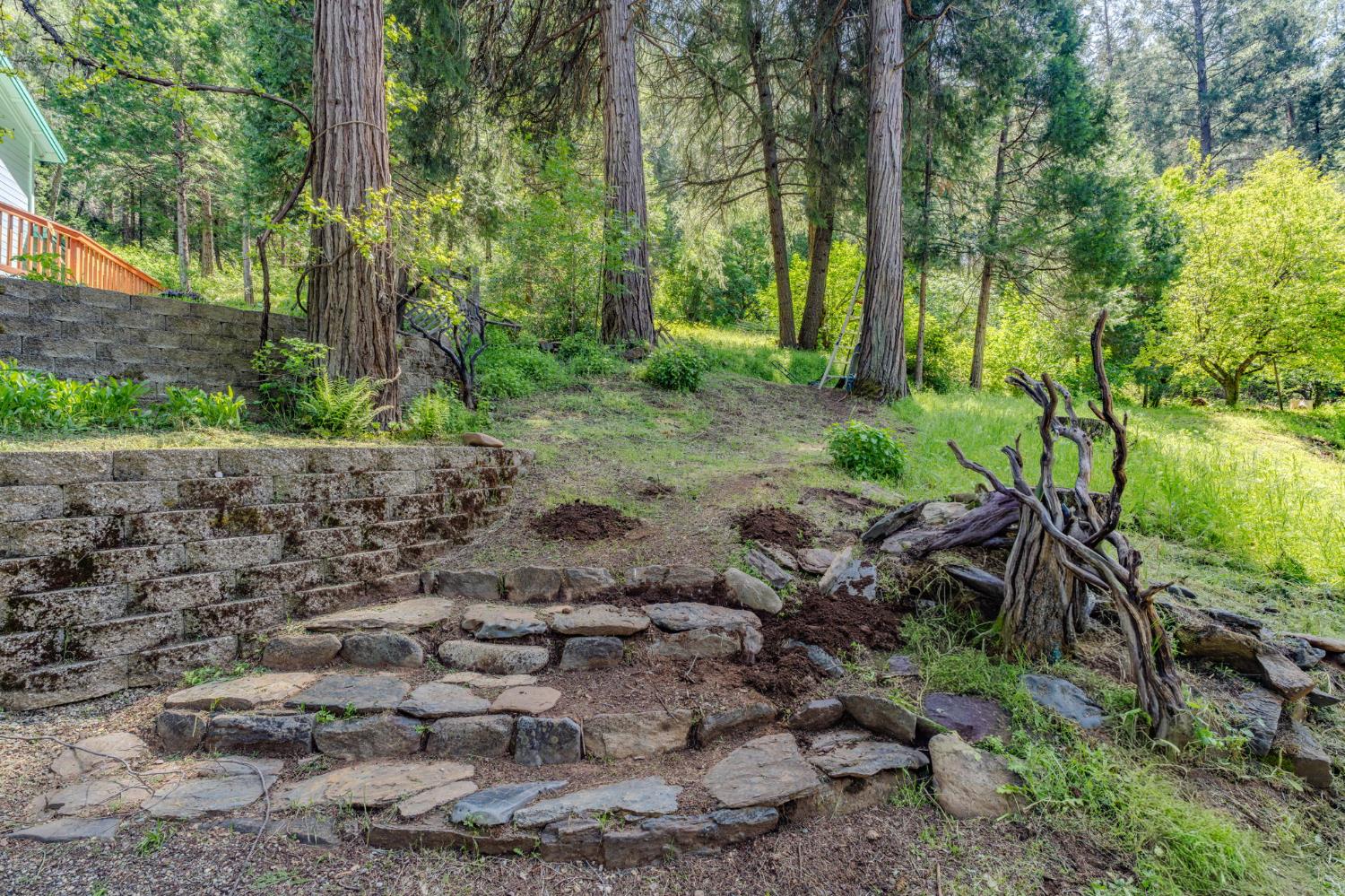 4040 Cedar Creek Road Fiddletown, CA 95629 - Photo 62 of 70 a view of a yard with plants and trees