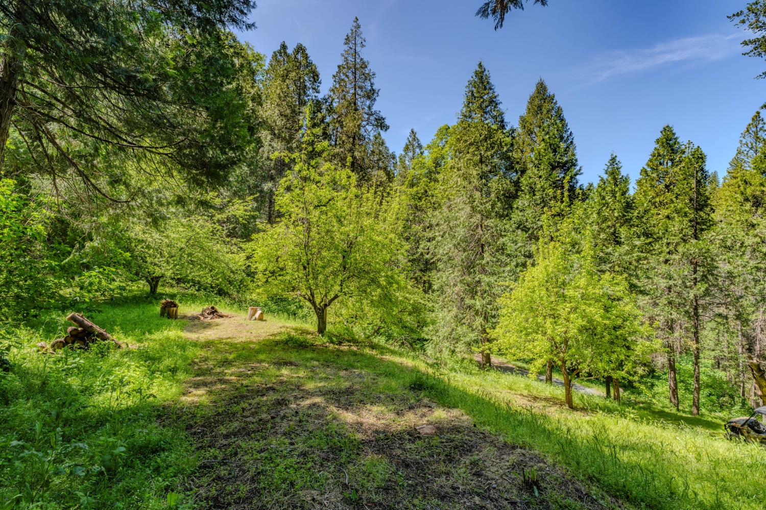 4040 Cedar Creek Road Fiddletown, CA 95629 - Photo 63 of 72
