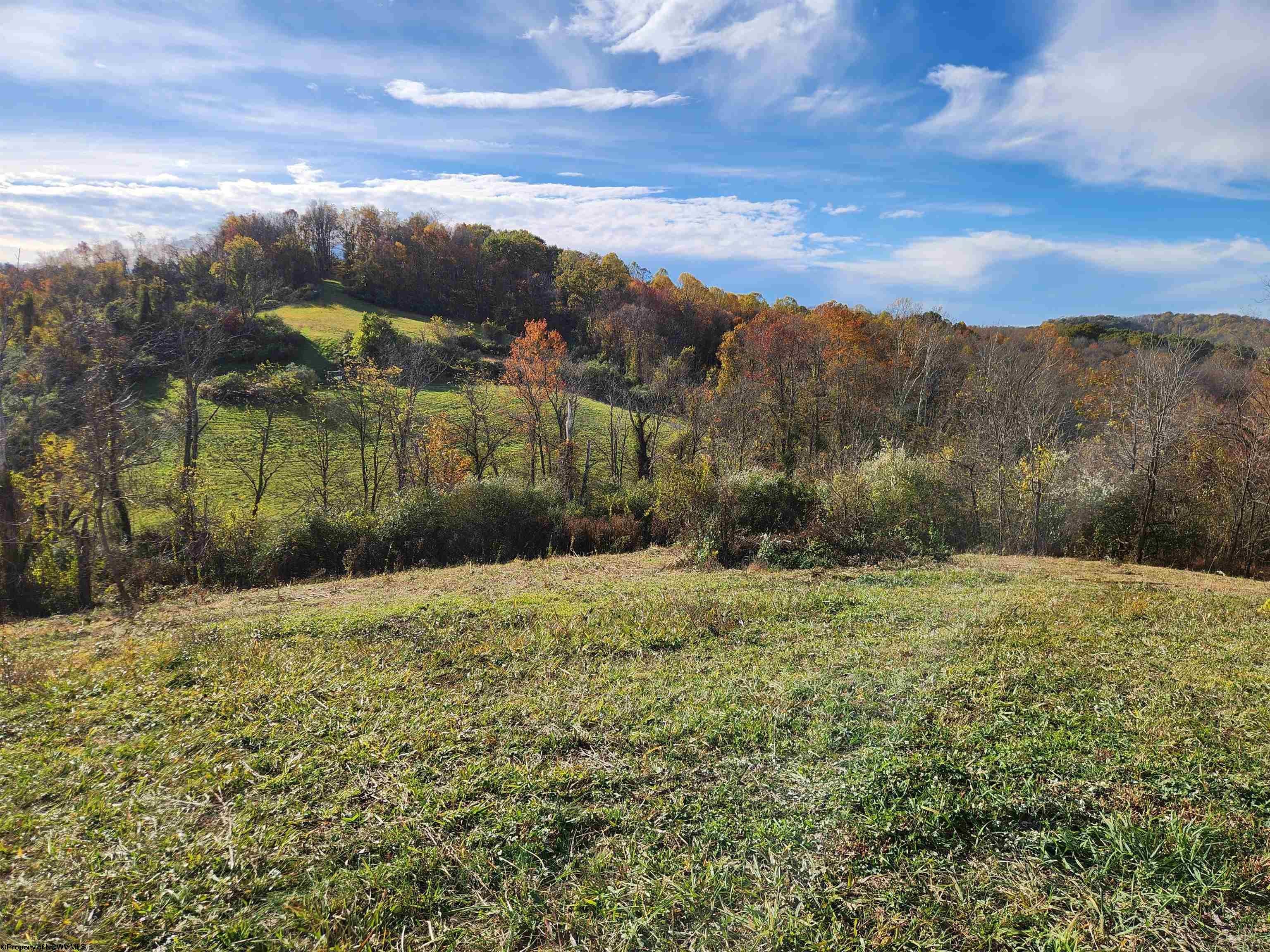 Tbd Hidden Valley Road Lost Creek, WV 26385 - Photo 13 of 13 Gallery Image 13