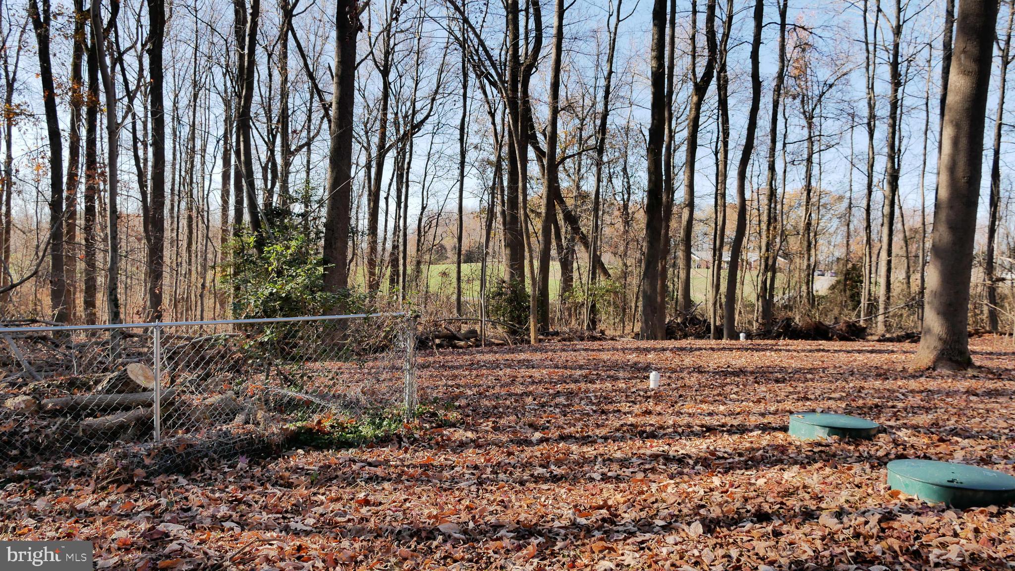 960 Bowie Shop Road Huntingtown, MD 20639 - Photo 66 of 69 a view of a backyard of the house