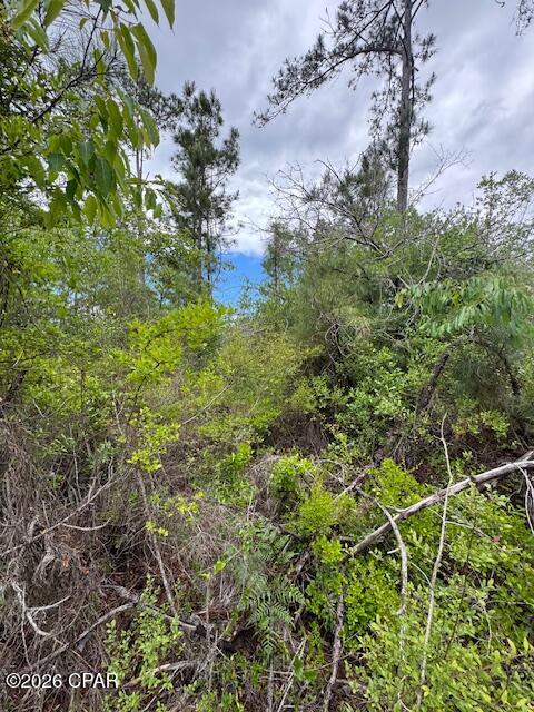 Tbd Pilgrim Rest Church Road Marianna, FL 32448 - Photo 10 of 13