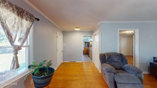 a living room with furniture and a potted plant