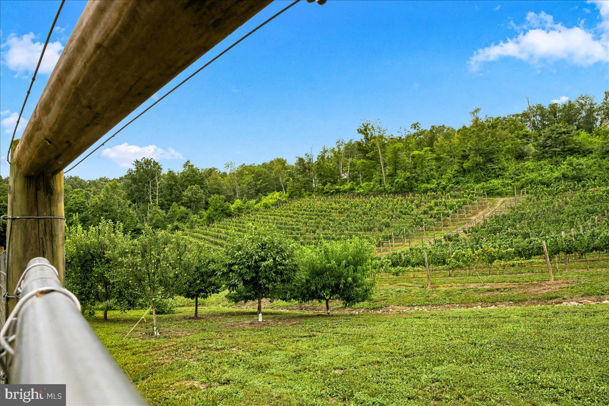 1309 Redland Road Cross Junction, VA 22625 - Photo 58 of 84