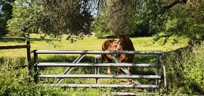 $1,190,000 | 0 Illinois Avenue, Fair Oaks, CA 95628