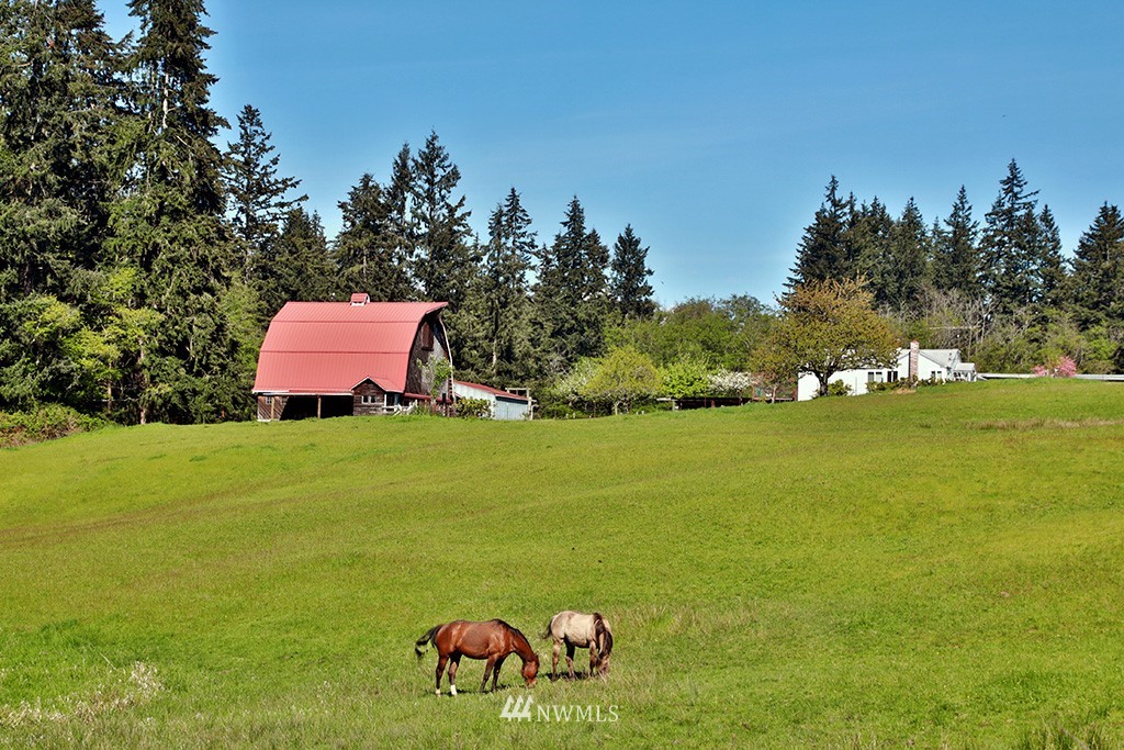6879 Heggeness Road Clinton, WA 98236 - Photo 25 of 25 Gallery Image 25