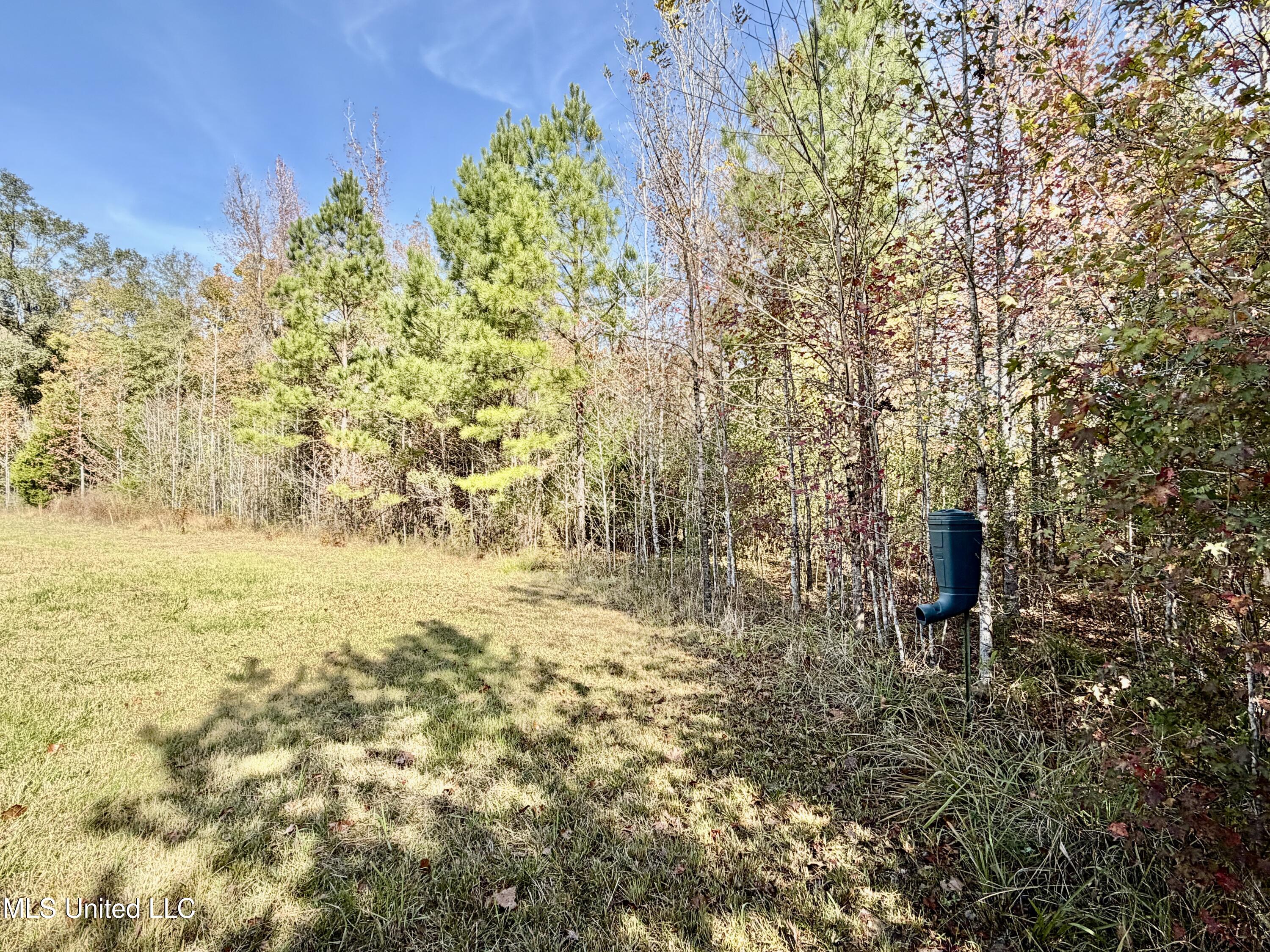 6803 Bowling Green Road Durant, MS 39063 - Photo 12 of 23 IMG_0505