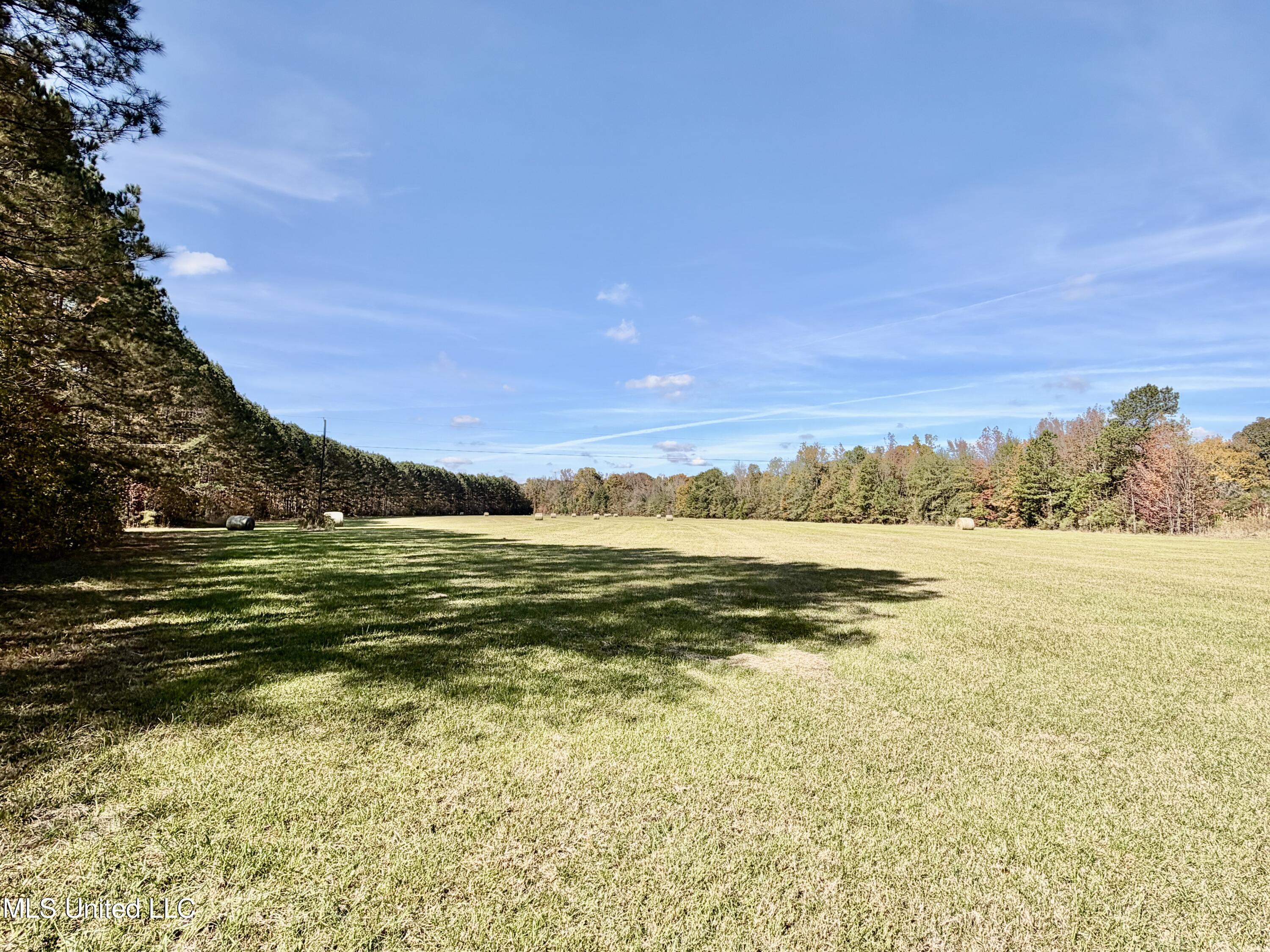 6803 Bowling Green Road Durant, MS 39063 - Photo 13 of 23 IMG_0506