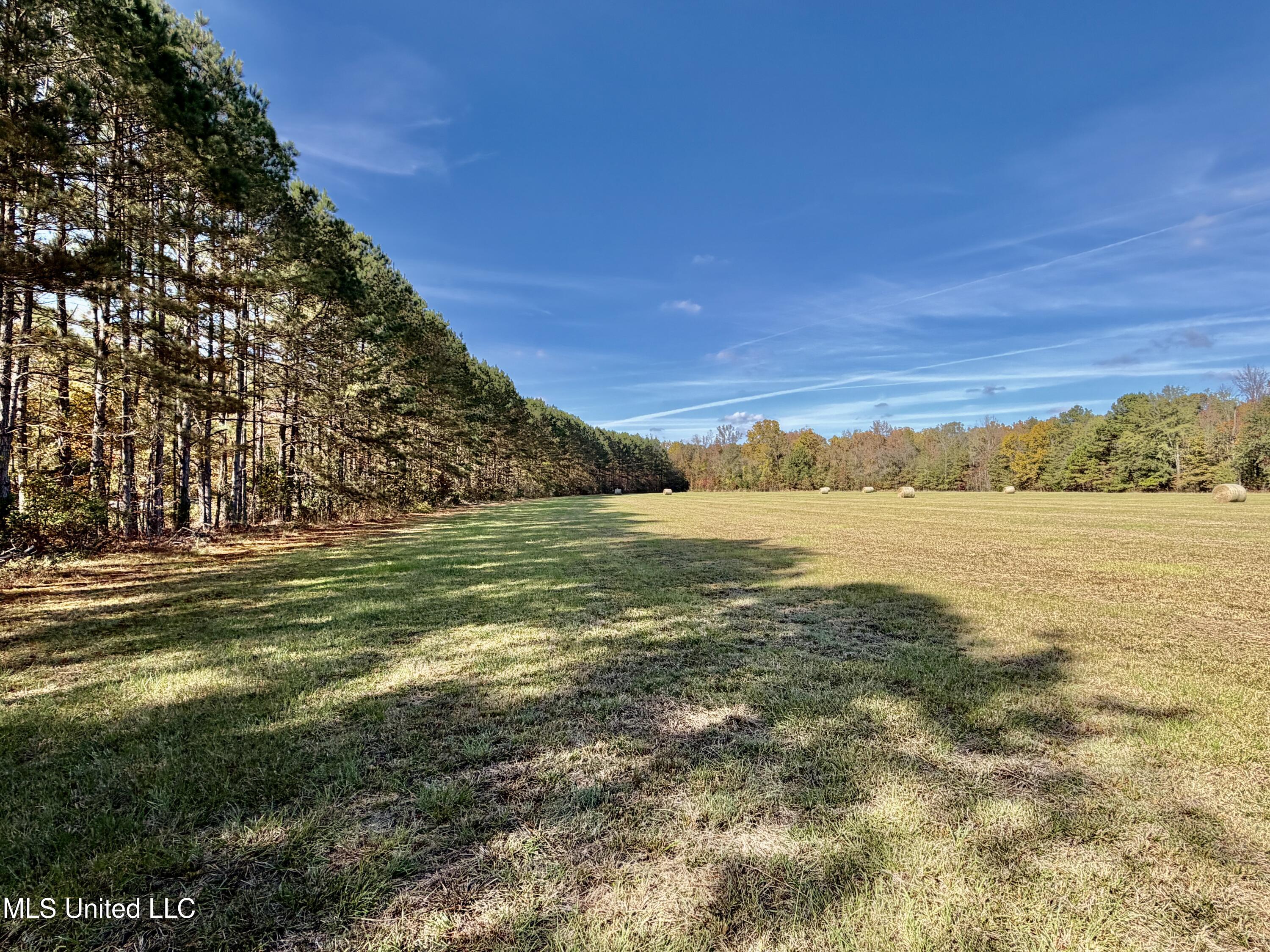 6803 Bowling Green Road Durant, MS 39063 - Photo 14 of 23 IMG_0507