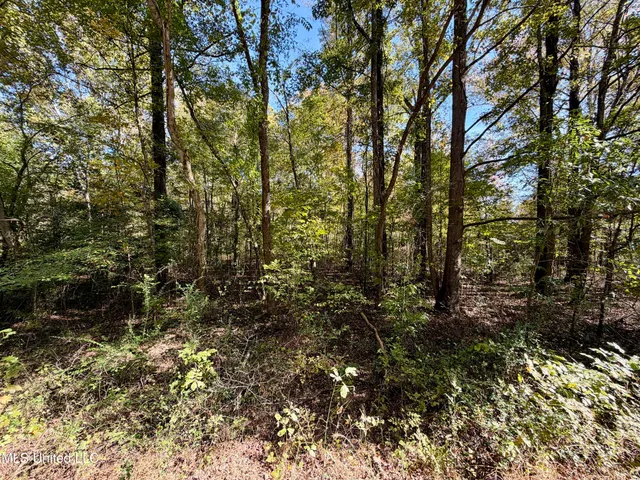 $270,000 | 6803 Bowling Green Road, Durant, MS 39063