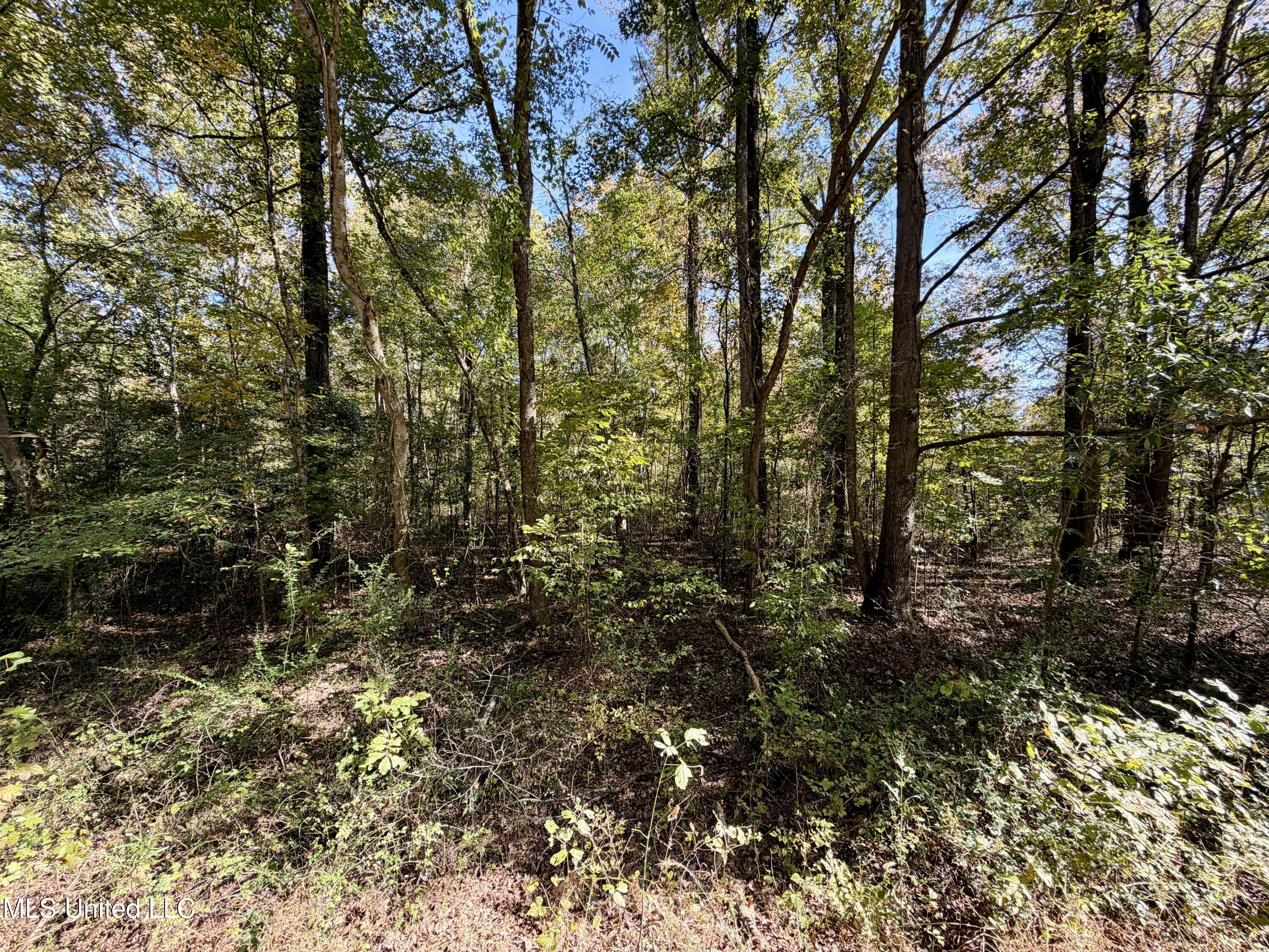 6803 Bowling Green Road Durant, MS 39063 - Photo 15 of 23 IMG_0508