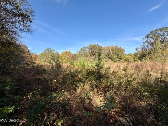 $270,000 | 6803 Bowling Green Road, Durant, MS 39063