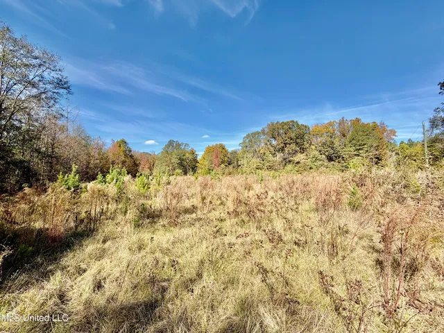 $270,000 | 6803 Bowling Green Road, Durant, MS 39063