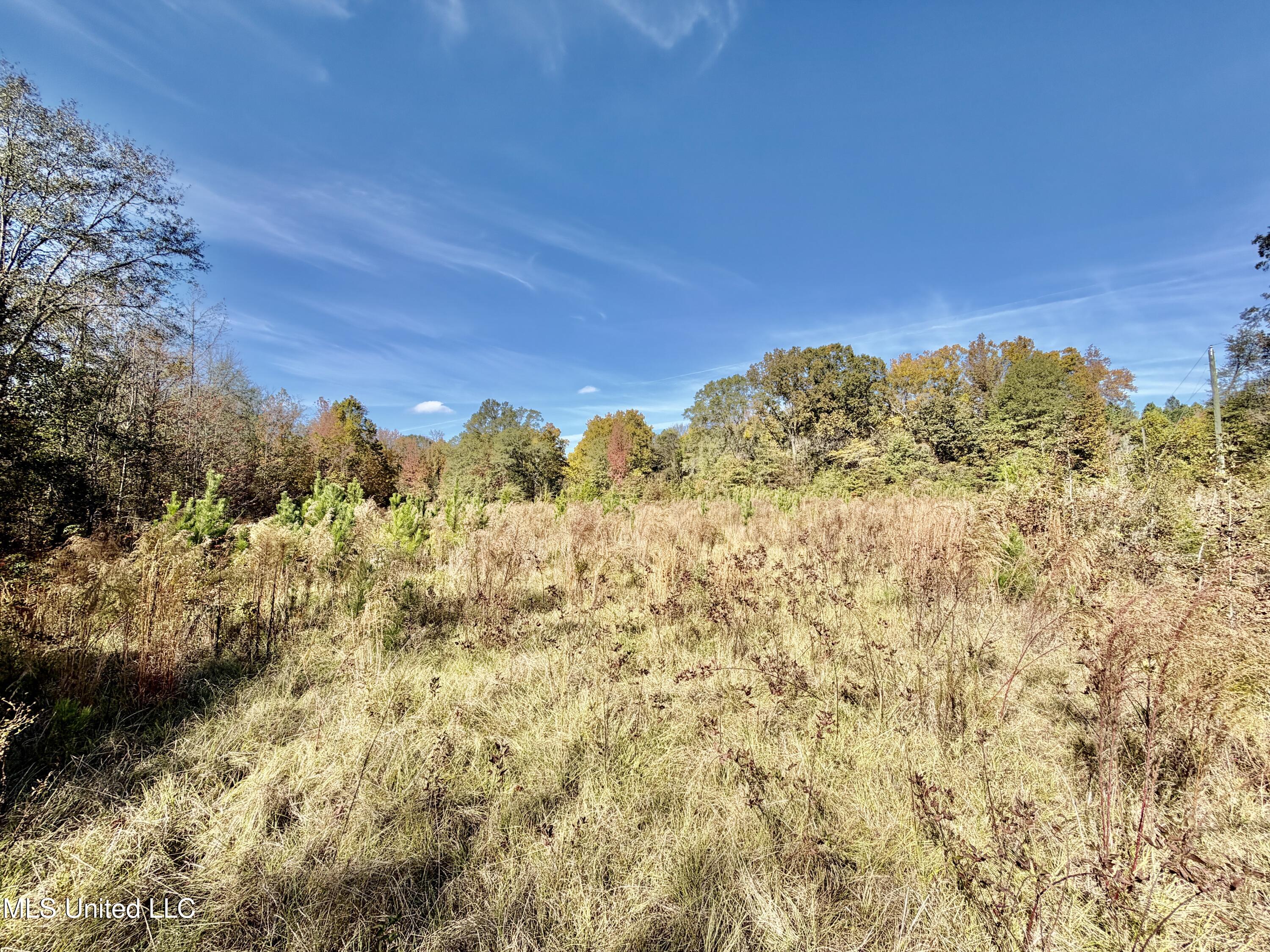 6803 Bowling Green Road Durant, MS 39063 - Photo 18 of 23 IMG_0511