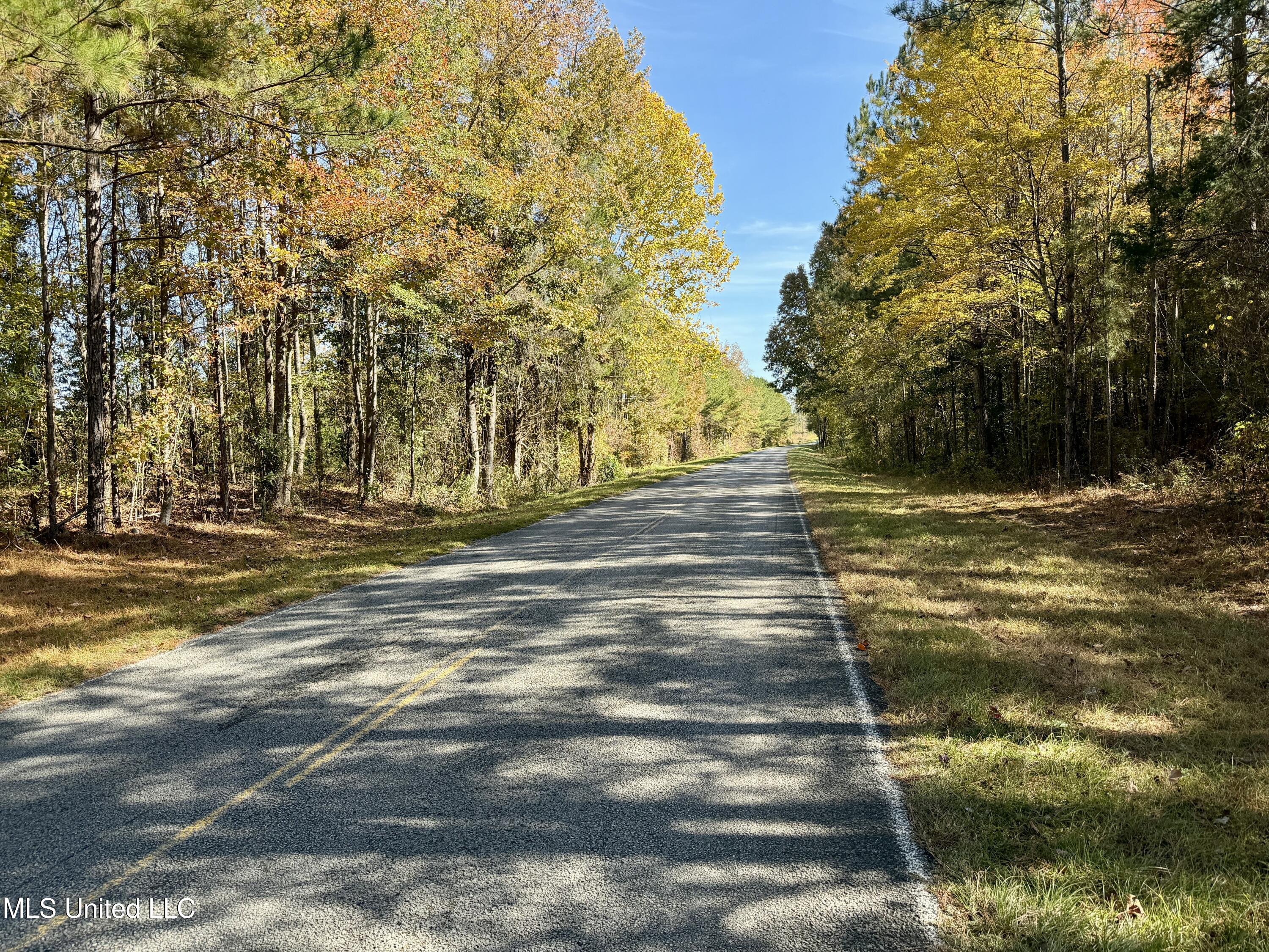 6803 Bowling Green Road Durant, MS 39063 - Photo 19 of 23 IMG_0512