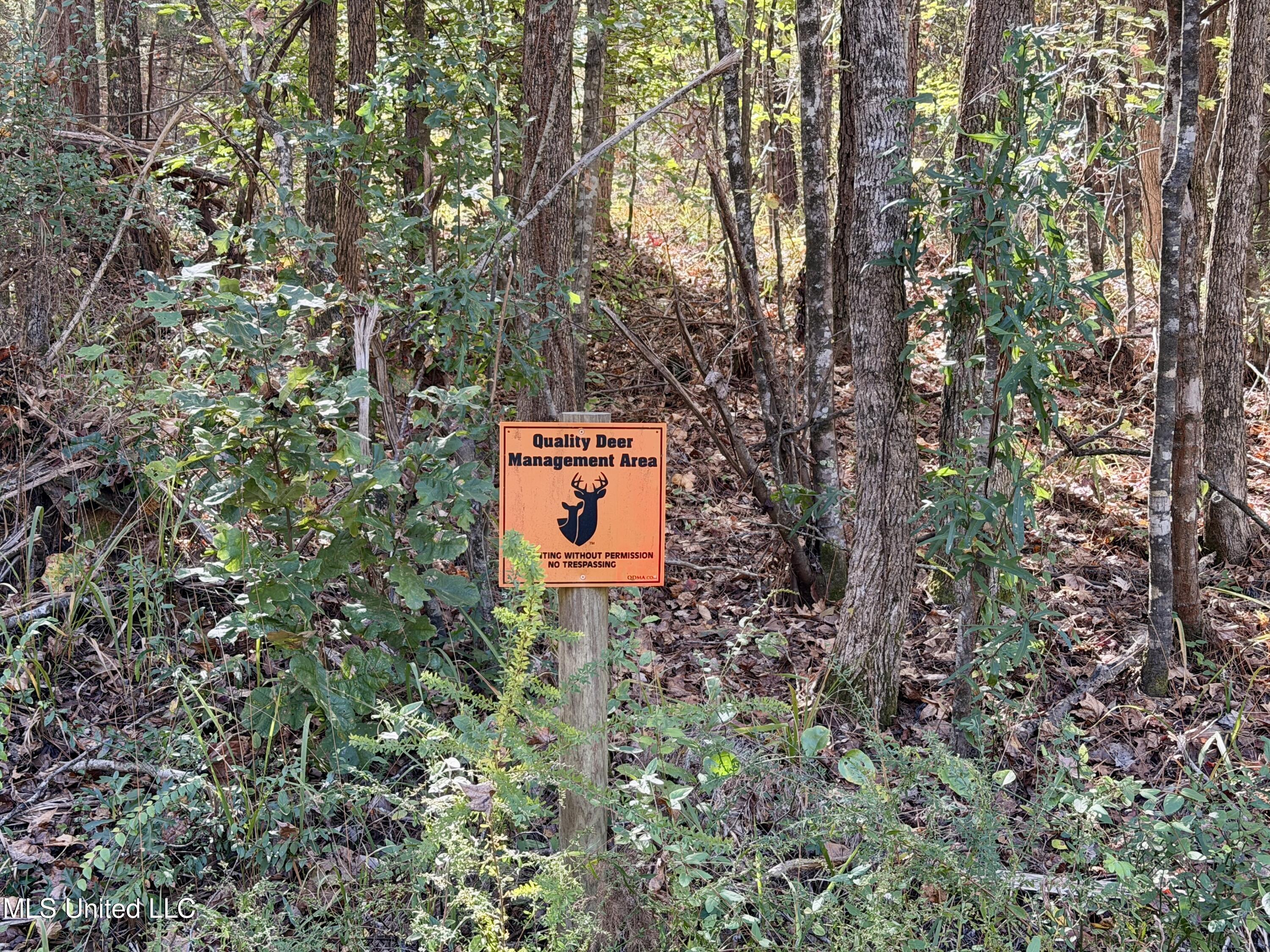 6803 Bowling Green Road Durant, MS 39063 - Photo 20 of 23 IMG_0513