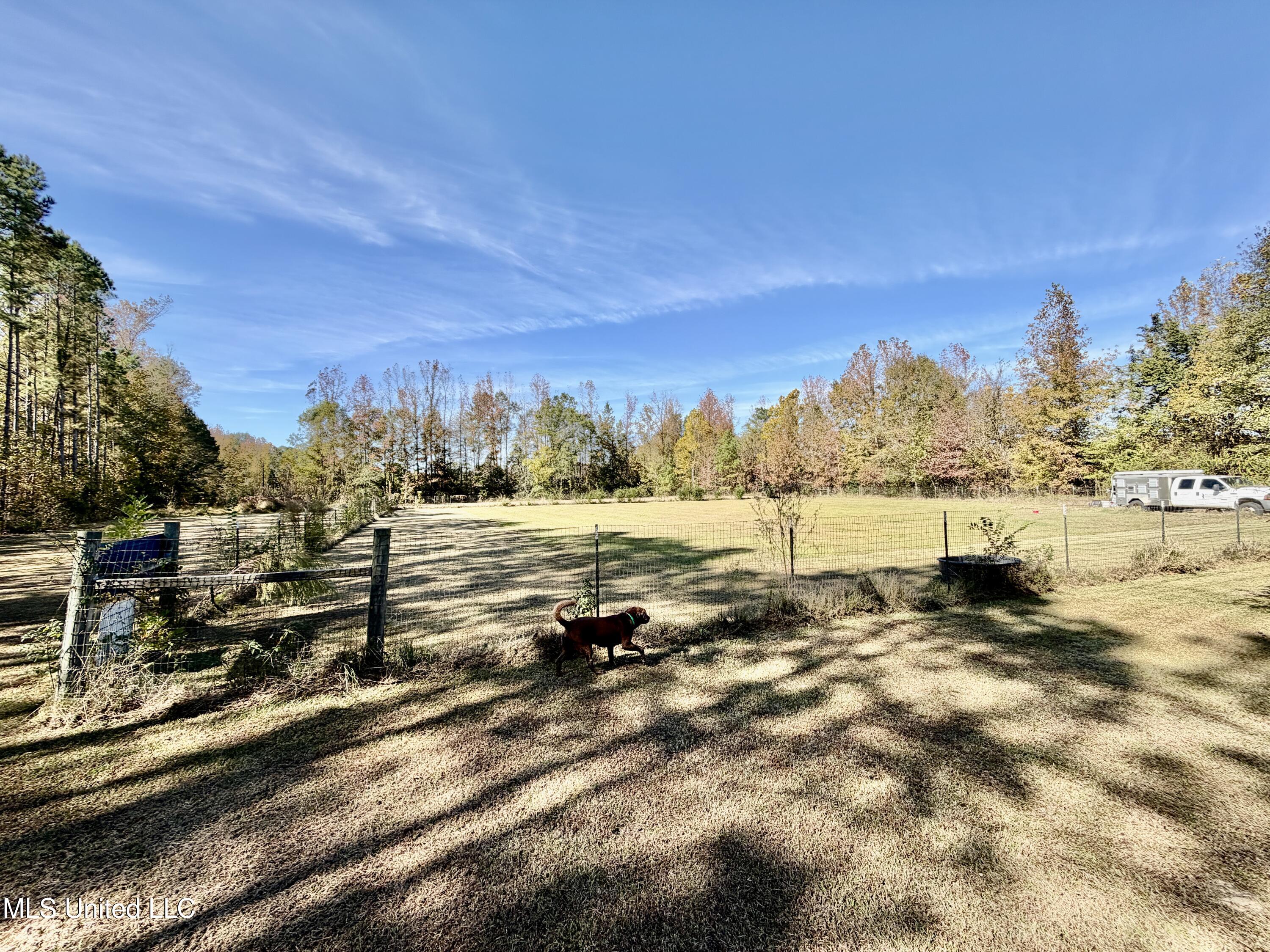 6803 Bowling Green Road Durant, MS 39063 - Photo 21 of 23 IMG_0514