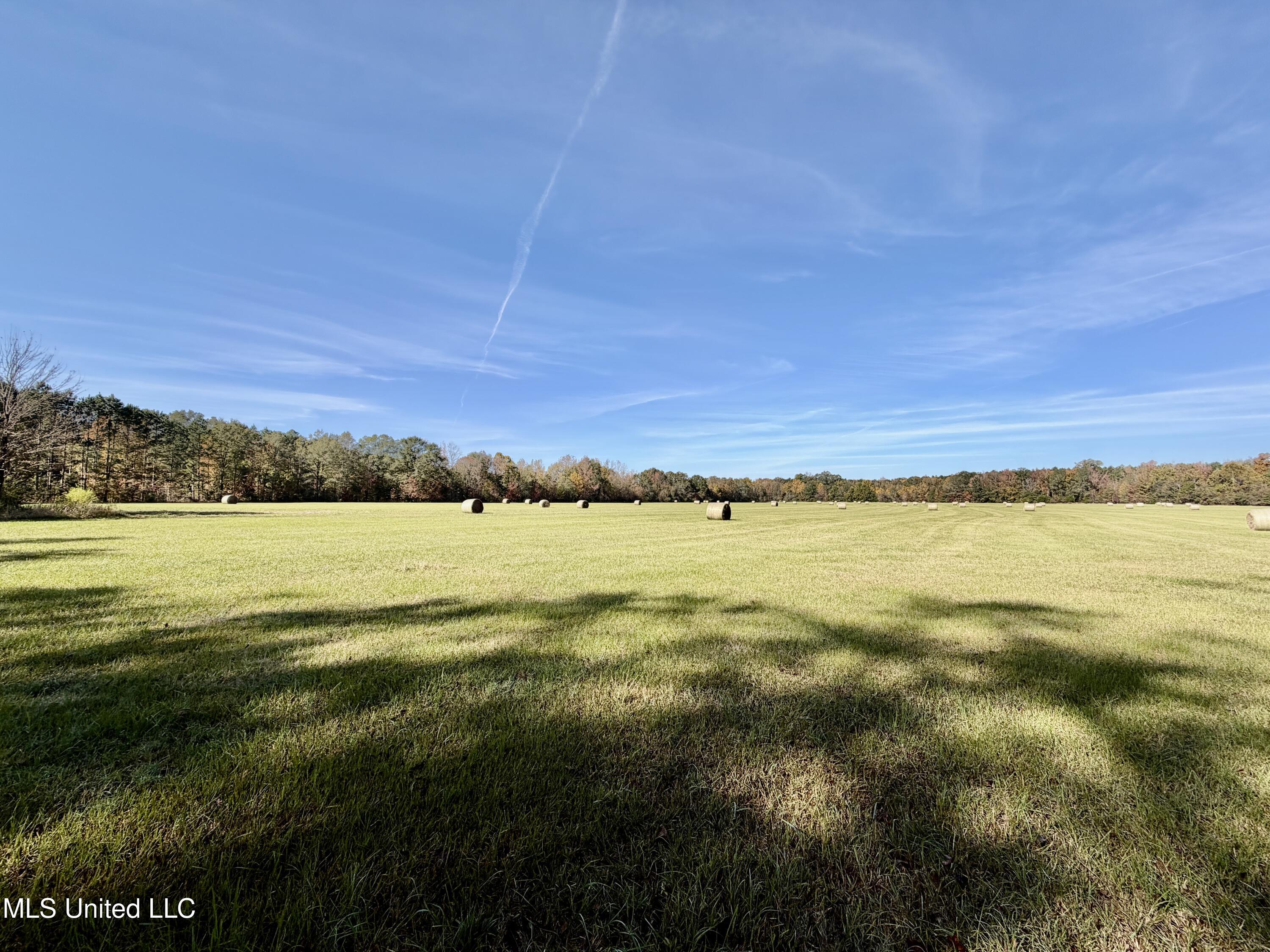 6803 Bowling Green Road Durant, MS 39063 - Photo 3 of 23 IMG_0495