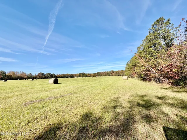 $270,000 | 6803 Bowling Green Road, Durant, MS 39063