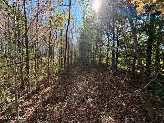 $270,000 | 6803 Bowling Green Road, Durant, MS 39063