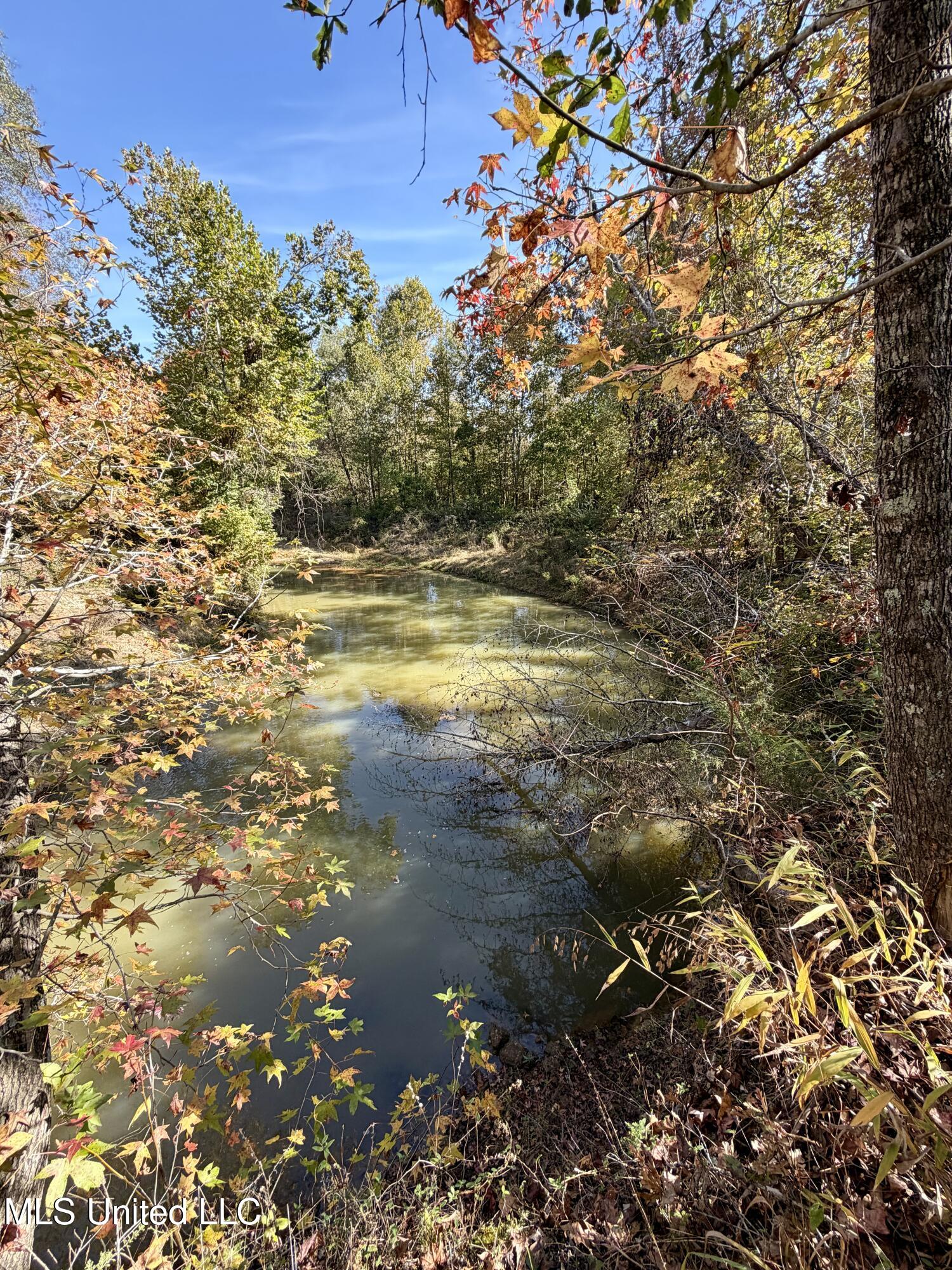 6803 Bowling Green Road Durant, MS 39063 - Photo 6 of 23 IMG_0499