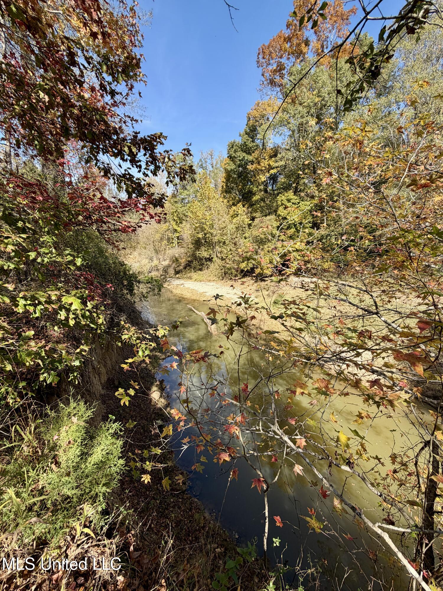 6803 Bowling Green Road Durant, MS 39063 - Photo 7 of 23 IMG_0500