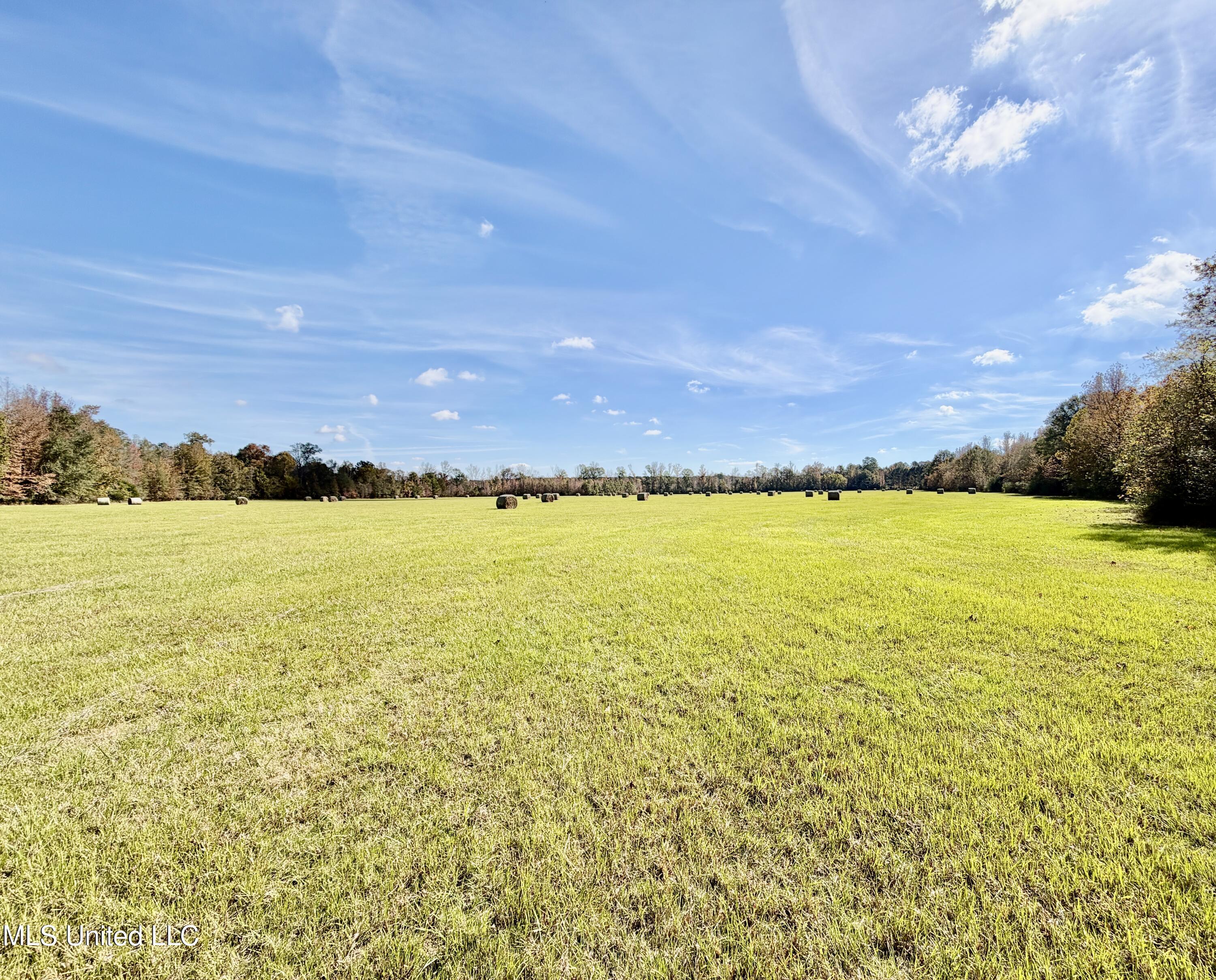 6803 Bowling Green Road Durant, MS 39063 - Photo 8 of 23 IMG_0501
