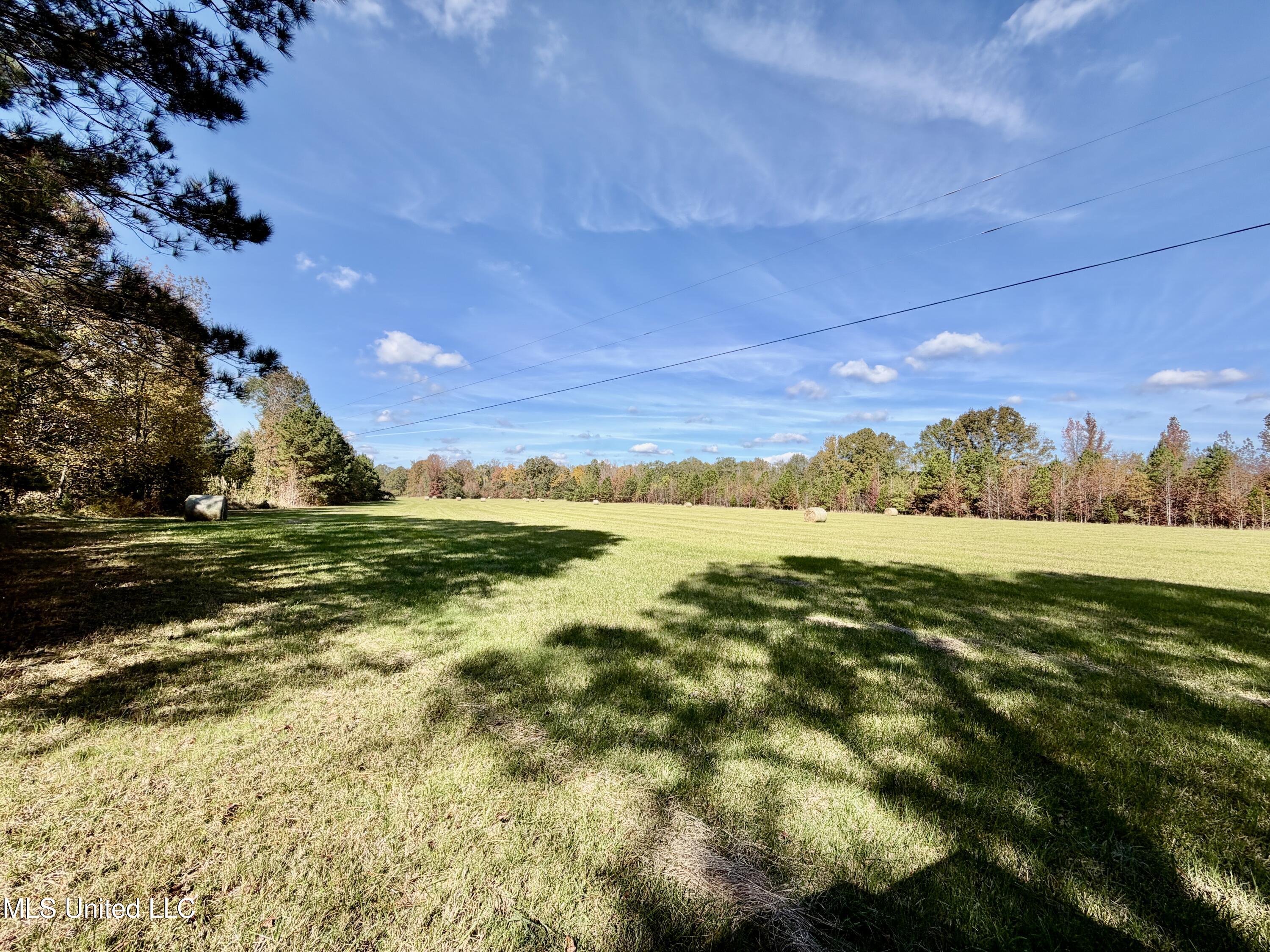 6803 Bowling Green Road Durant, MS 39063 - Photo 10 of 23 IMG_0503