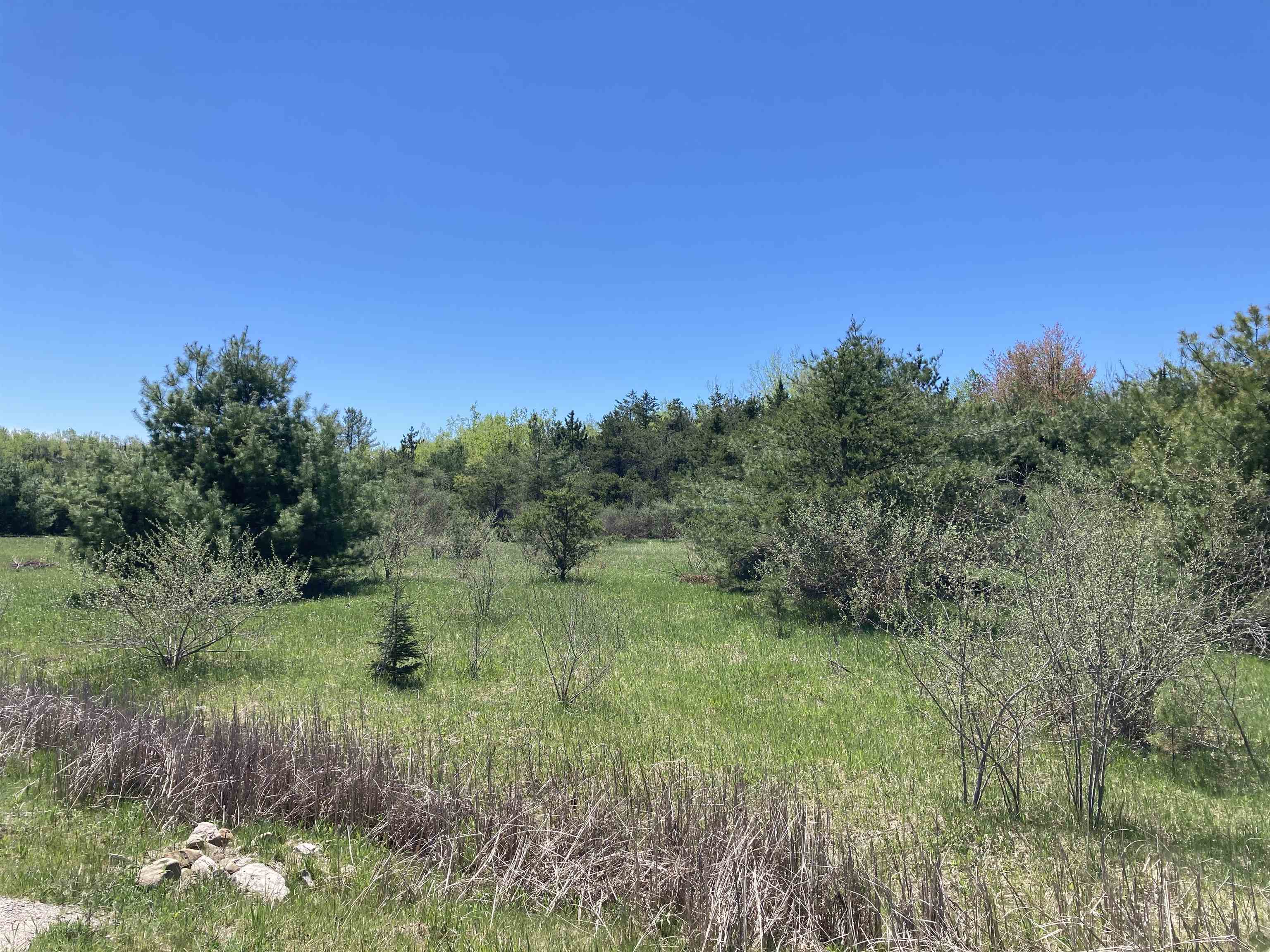 0 West Miller Road Mio, MI 48647 - Photo 8 of 23