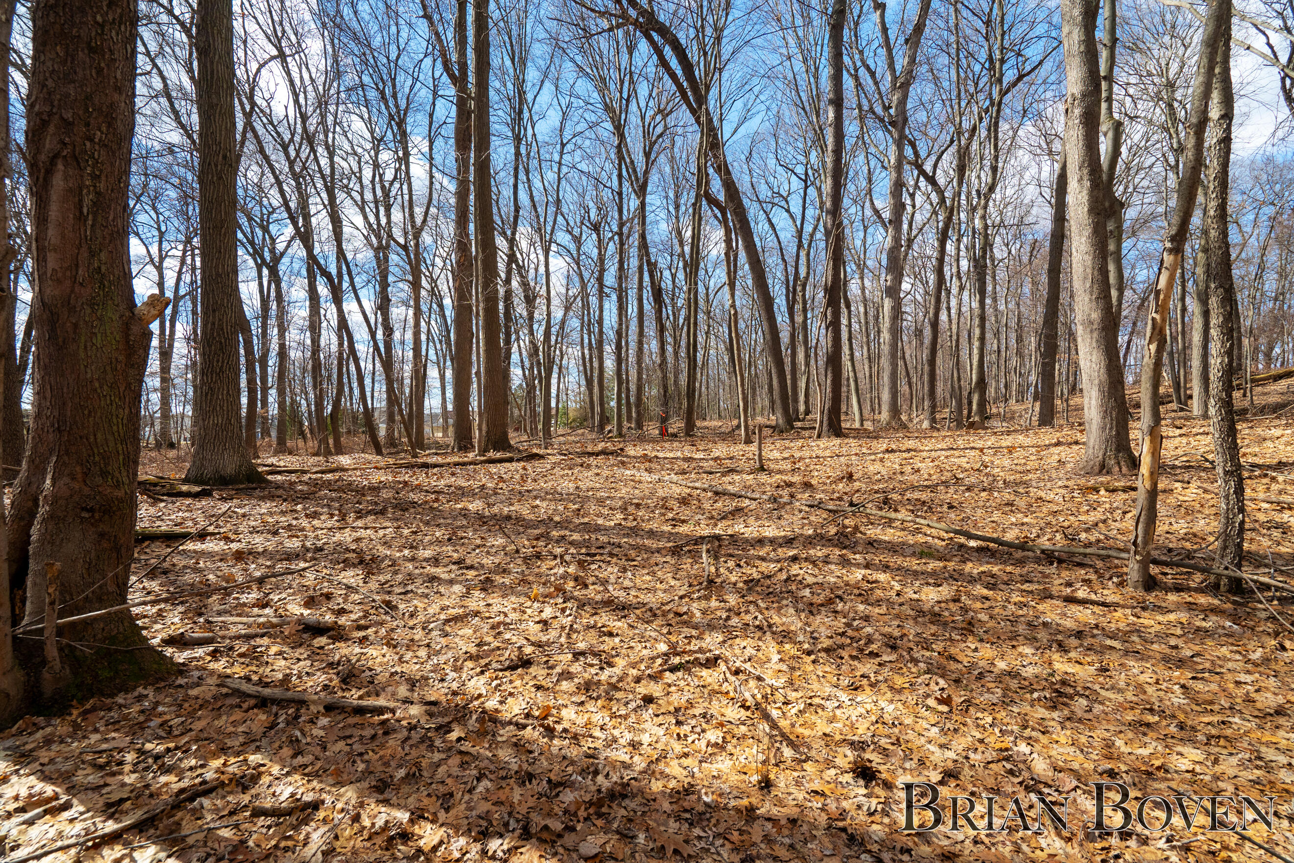 7389 Silver Ridge Drive Rockford, MI 49341 - Photo 54 of 60 DSC07393