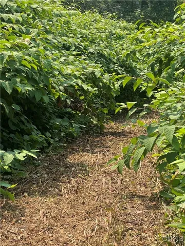 $260,000 | 14306 County Route 89, Mannsville, NY 13661